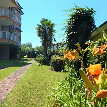 Panoramic * ברדולינו